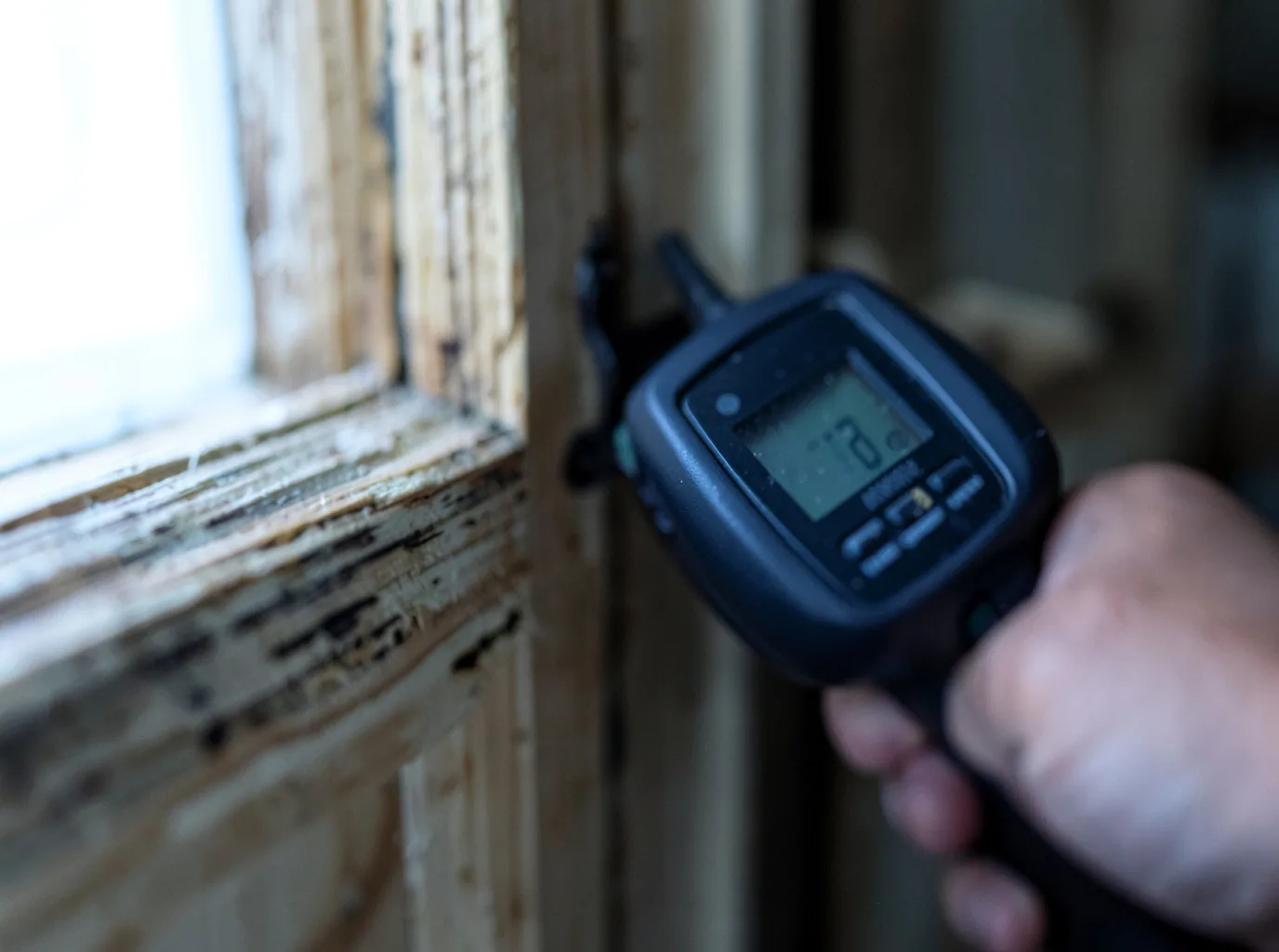 Moisture Inspection And Documentation in Burien, WA